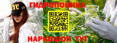 spice Беслан