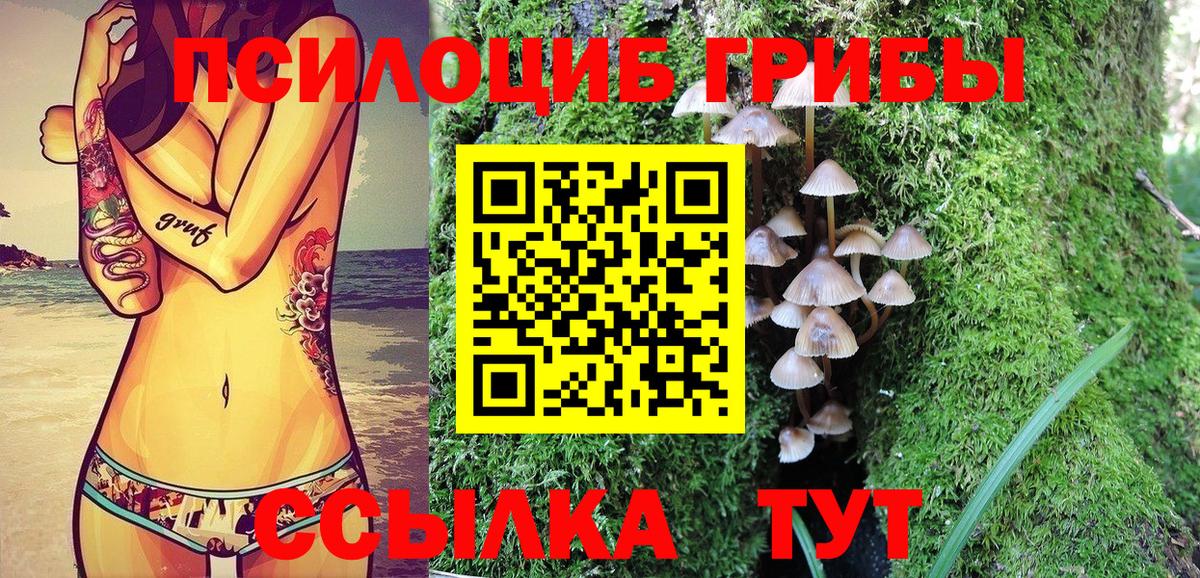 Псилоцибиновые грибы Psilocybine cubensis  Вход с VPN  Казань  Галлюциногенные грибы MAGIC MUSHROOMS 